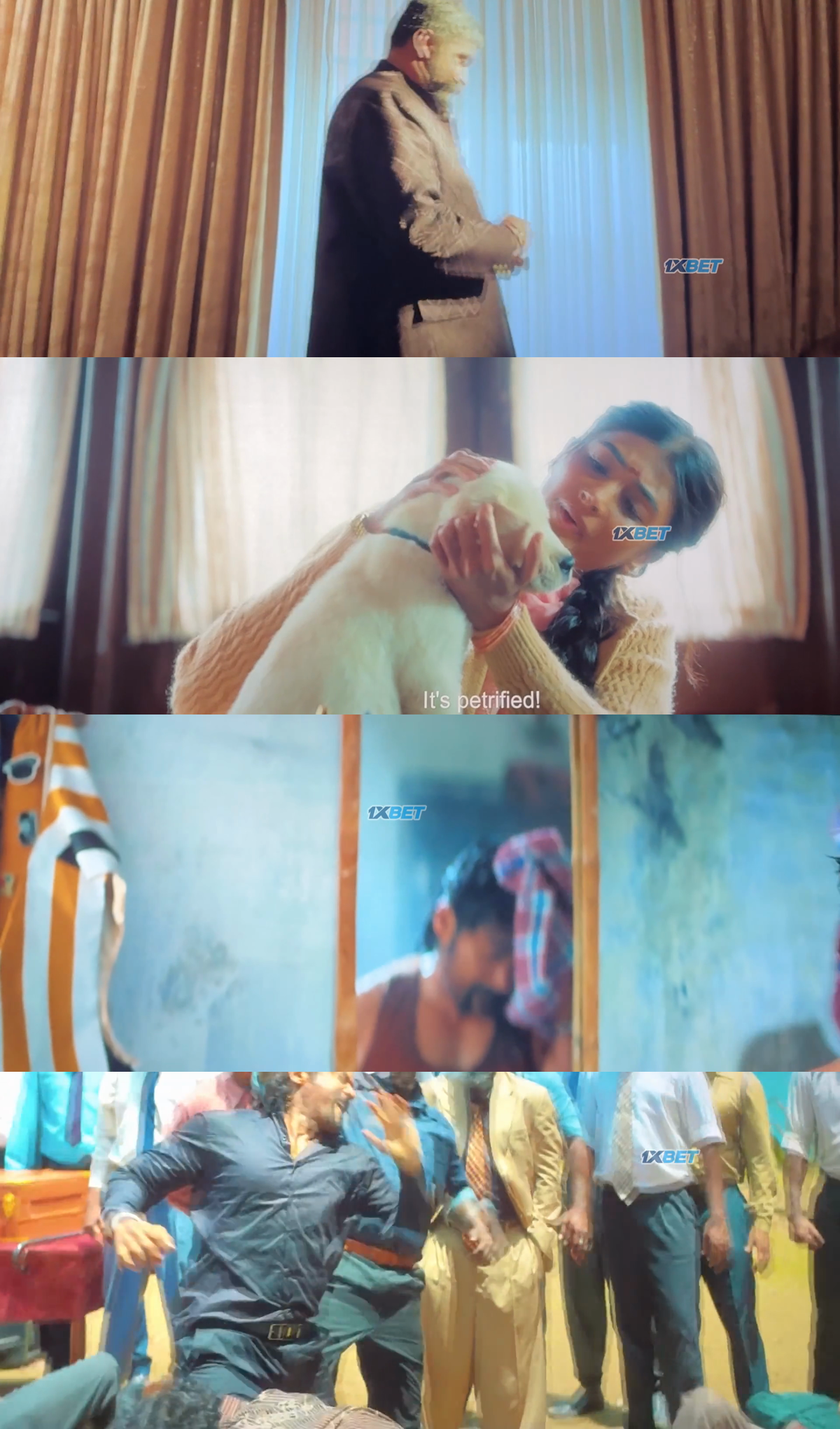 collage