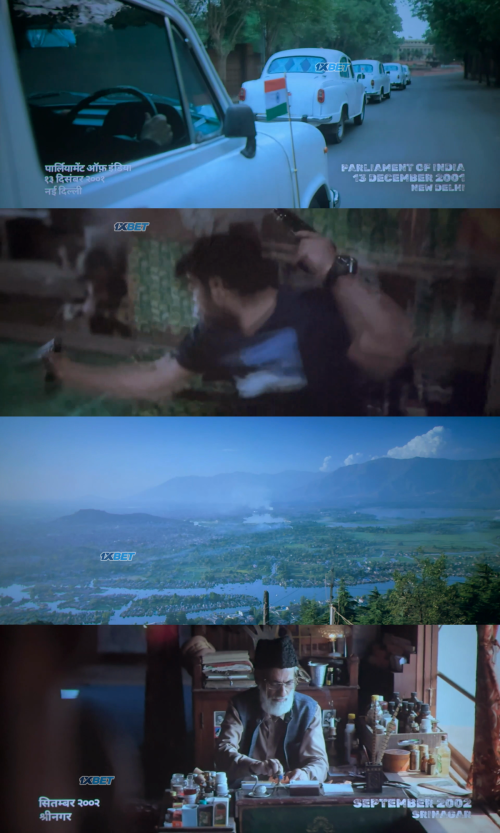 collage.png