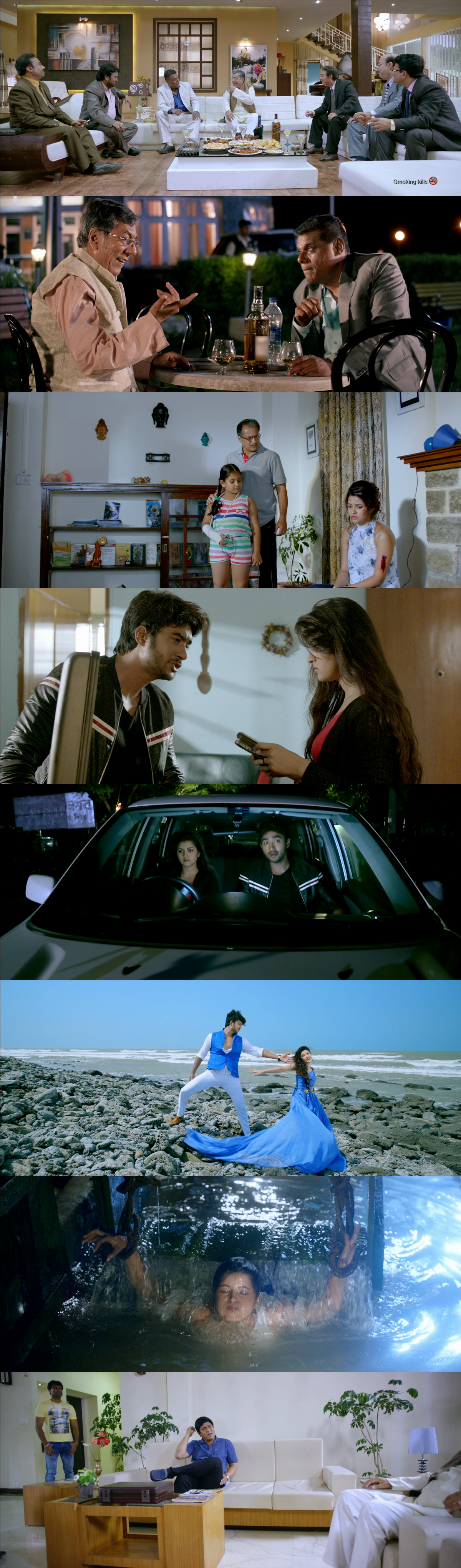 Rokto.(2016)