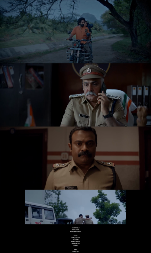 collage2a1f3755986db2a0.png