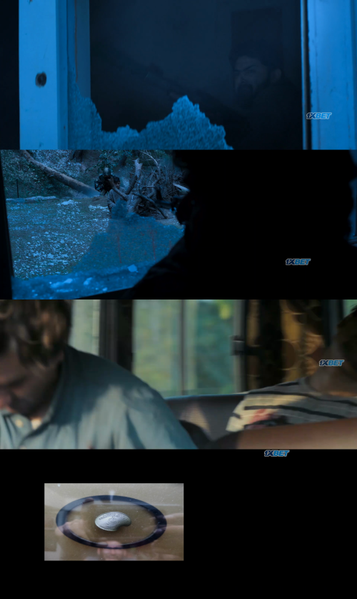 collage3fc026c1d33cdc05.png