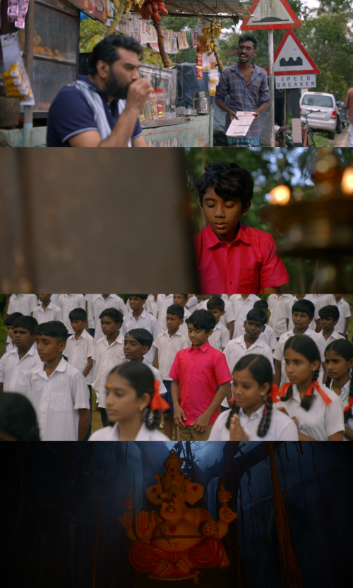 collaged34369d2fdc25309.png