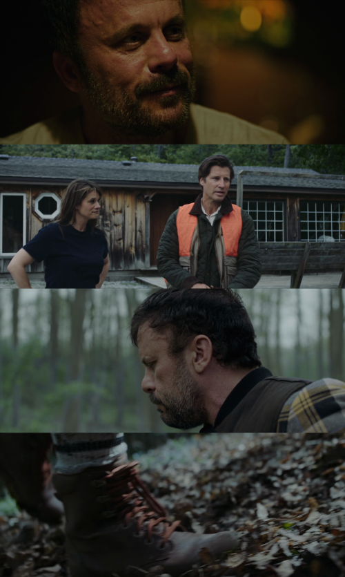 collagedd704950a9e8deb9.png