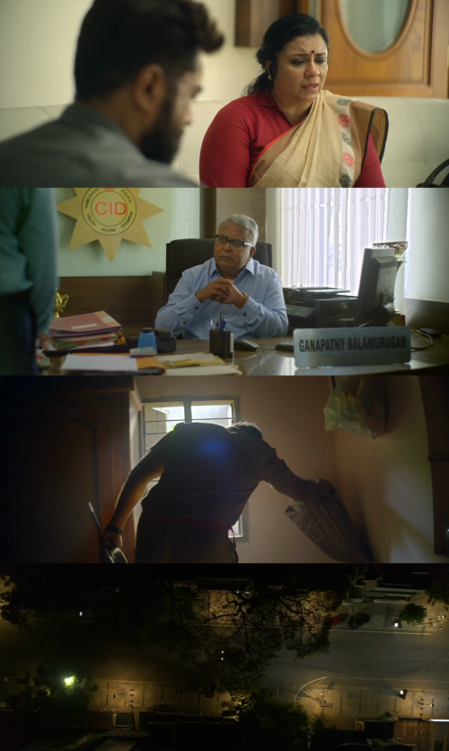 collage6e45762520105bc0.png
