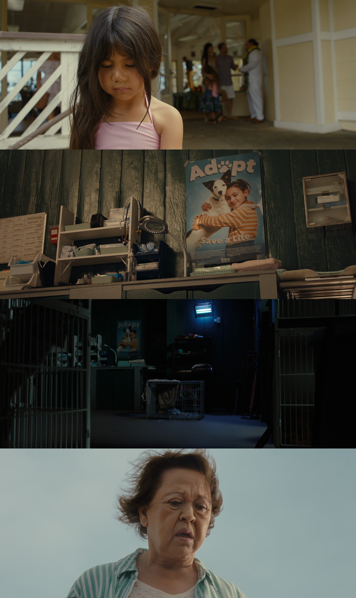 collage